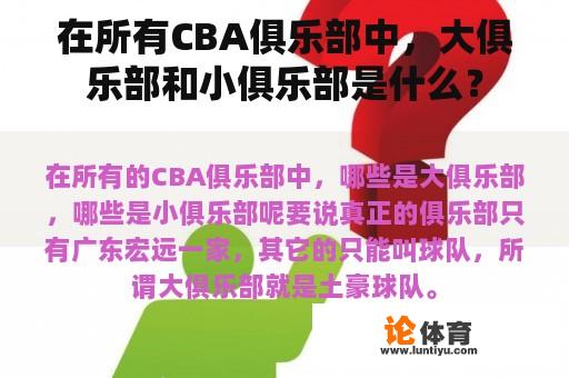 在所有CBA俱乐部中，大俱乐部和小俱乐部是什么？