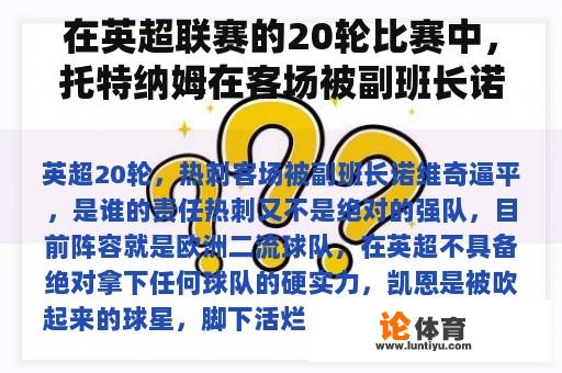 在英超联赛的20轮比赛中，托特纳姆在客场被副班长诺维奇逼平了。谁负责？