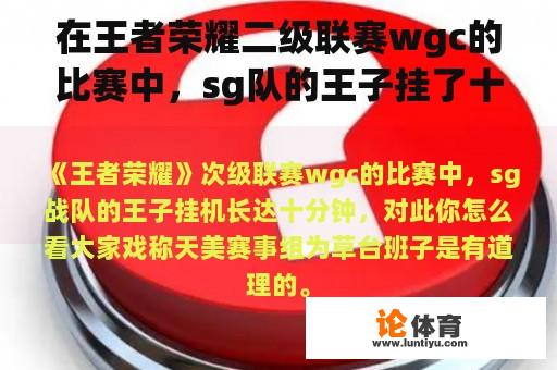 在王者荣耀二级联赛wgc的比赛中，sg队的王子挂了十分钟。你觉得这个怎么样？