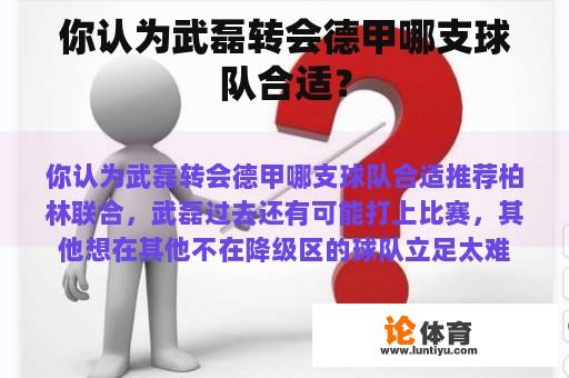 你认为武磊转会德甲哪支球队合适？