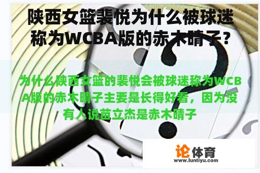 陕西女篮裴悦为什么被球迷称为WCBA版的赤木晴子？