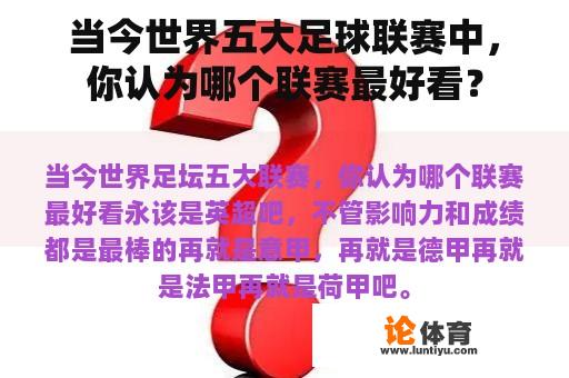 当今世界五大足球联赛中，你认为哪个联赛最好看？