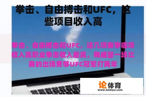 拳击、自由搏击和UFC，这些项目收入高