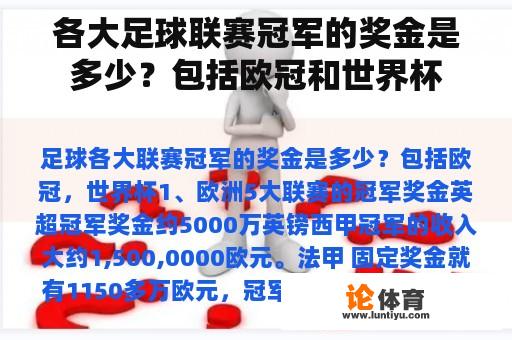 各大足球联赛冠军的奖金是多少？包括欧冠和世界杯