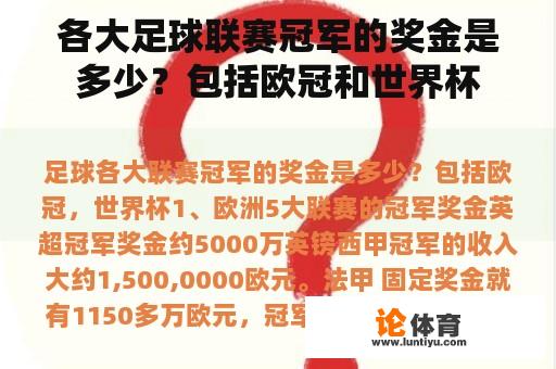 各大足球联赛冠军的奖金是多少？包括欧冠和世界杯