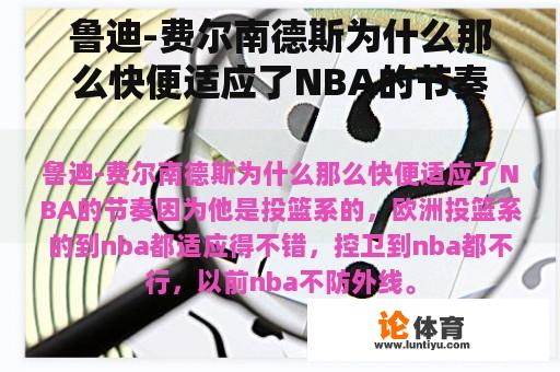 鲁迪-费尔南德斯为什么那么快便适应了NBA的节奏