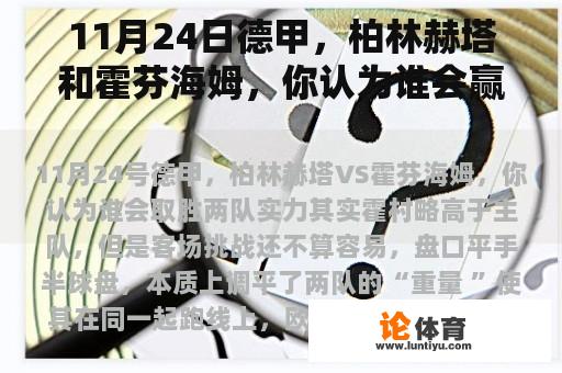 11月24日德甲，柏林赫塔和霍芬海姆，你认为谁会赢？