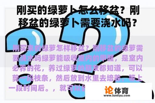 刚买的绿萝卜怎么移盆？刚移盆的绿萝卜需要浇水吗？