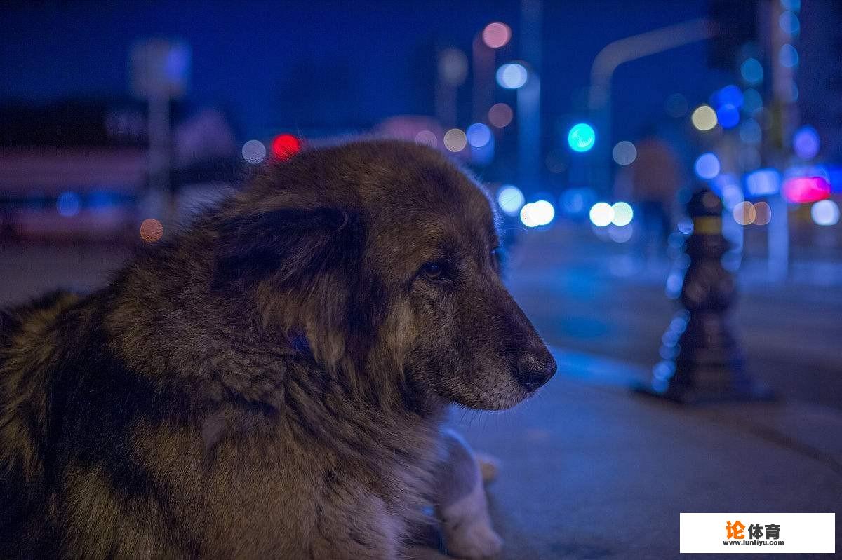 你们有去见网友被骗的经历吗