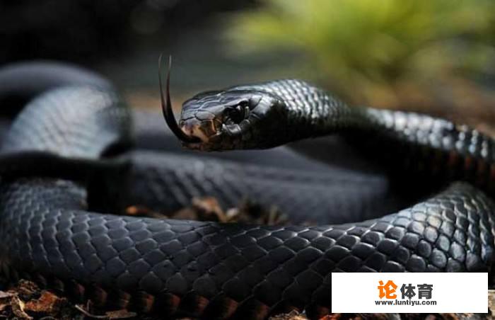 NBA球员有哪些比较经典的绰号，有什么典故