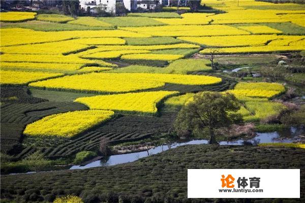 你能分享一下田园风景图片吗