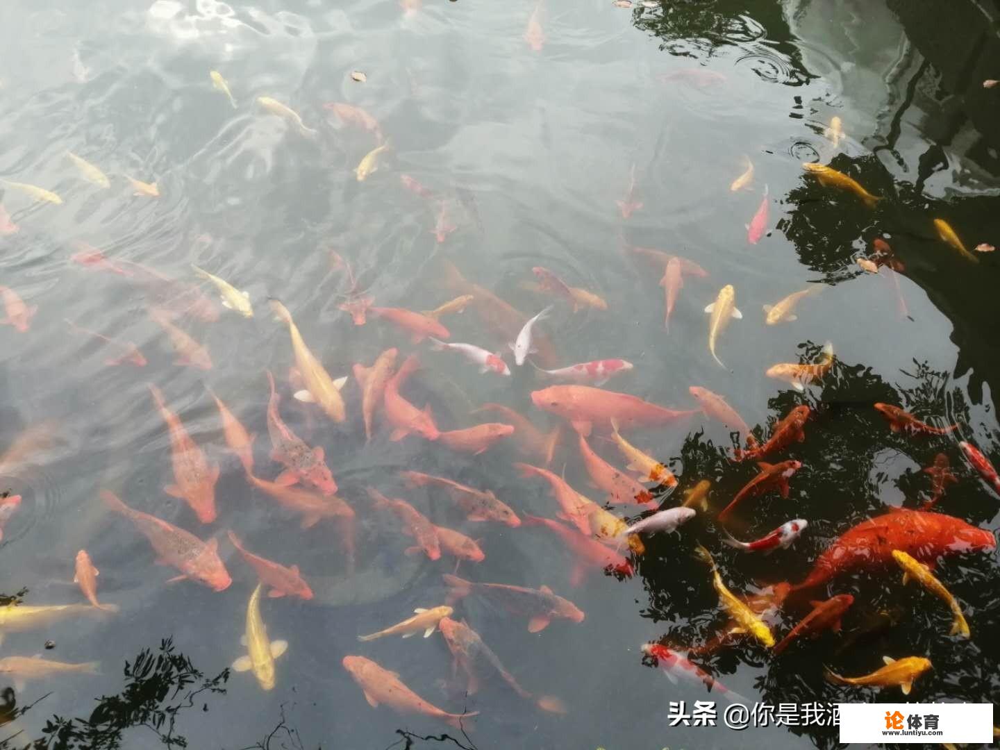 杭州萧山有什么好玩的