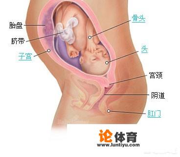 排畸检查多少钱？这个有必要做吗