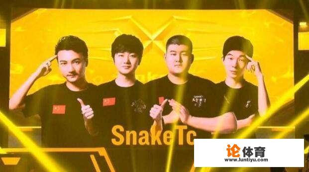 陈赫战队SnakeTC夺得绝地求生天命杯冠军，堡垒用冠军证明自己，对此你怎么看