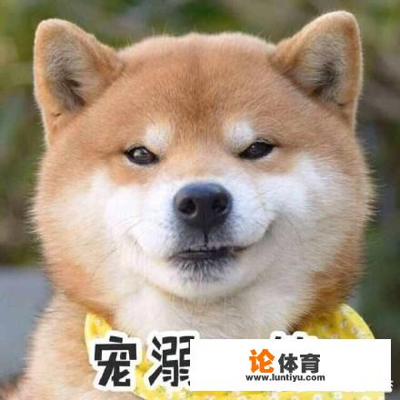 NBA最牛逼的一阵是什么