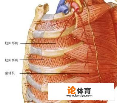 胸前痛是怎么回事，一伸展就响一下，弯腰也有点不舒服