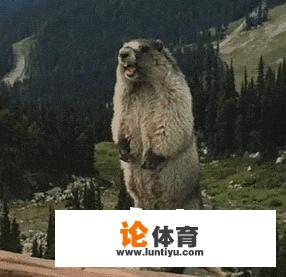 你在绝地求生中遇到了哪些挂