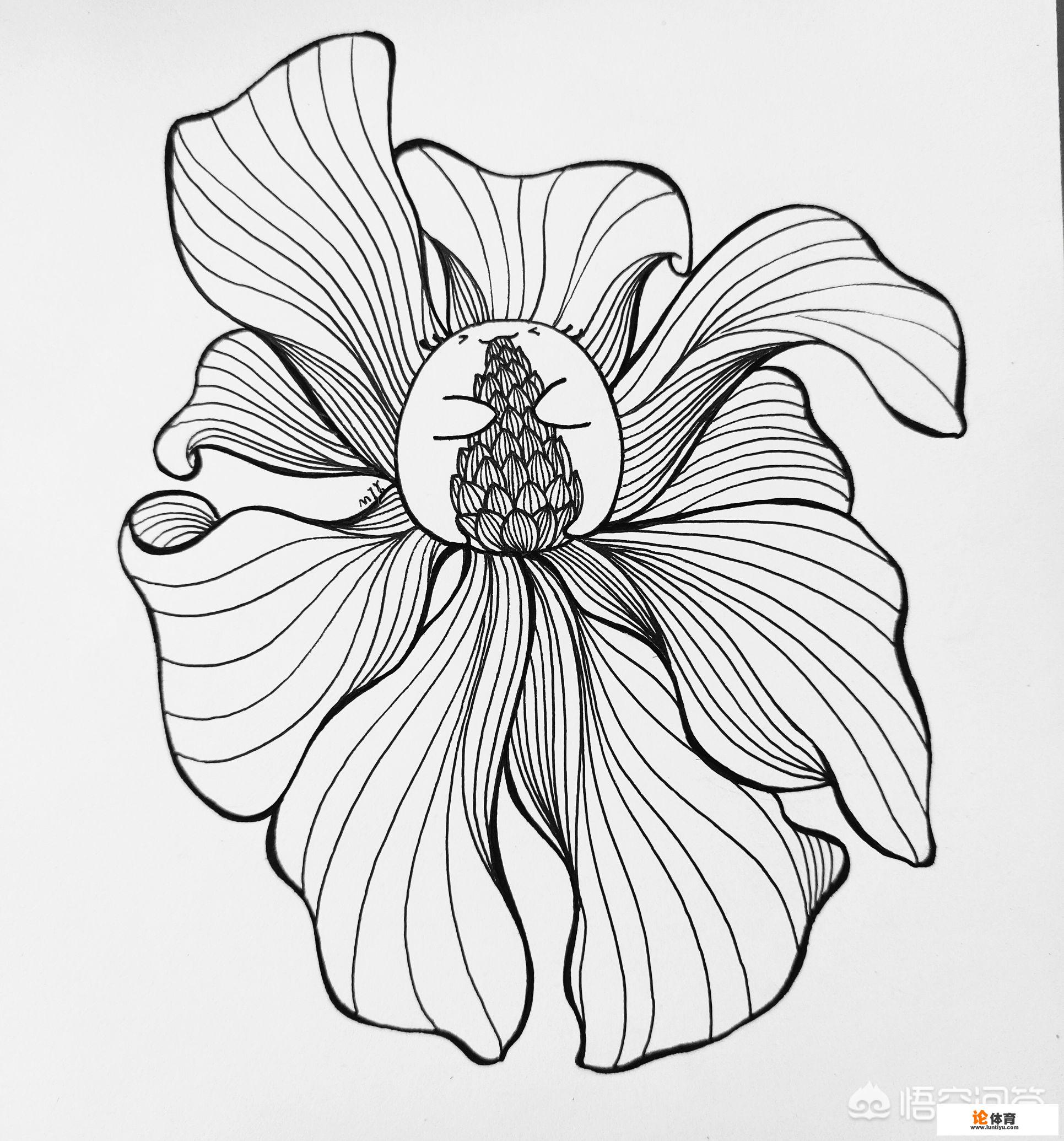 学画画怎样才能画好