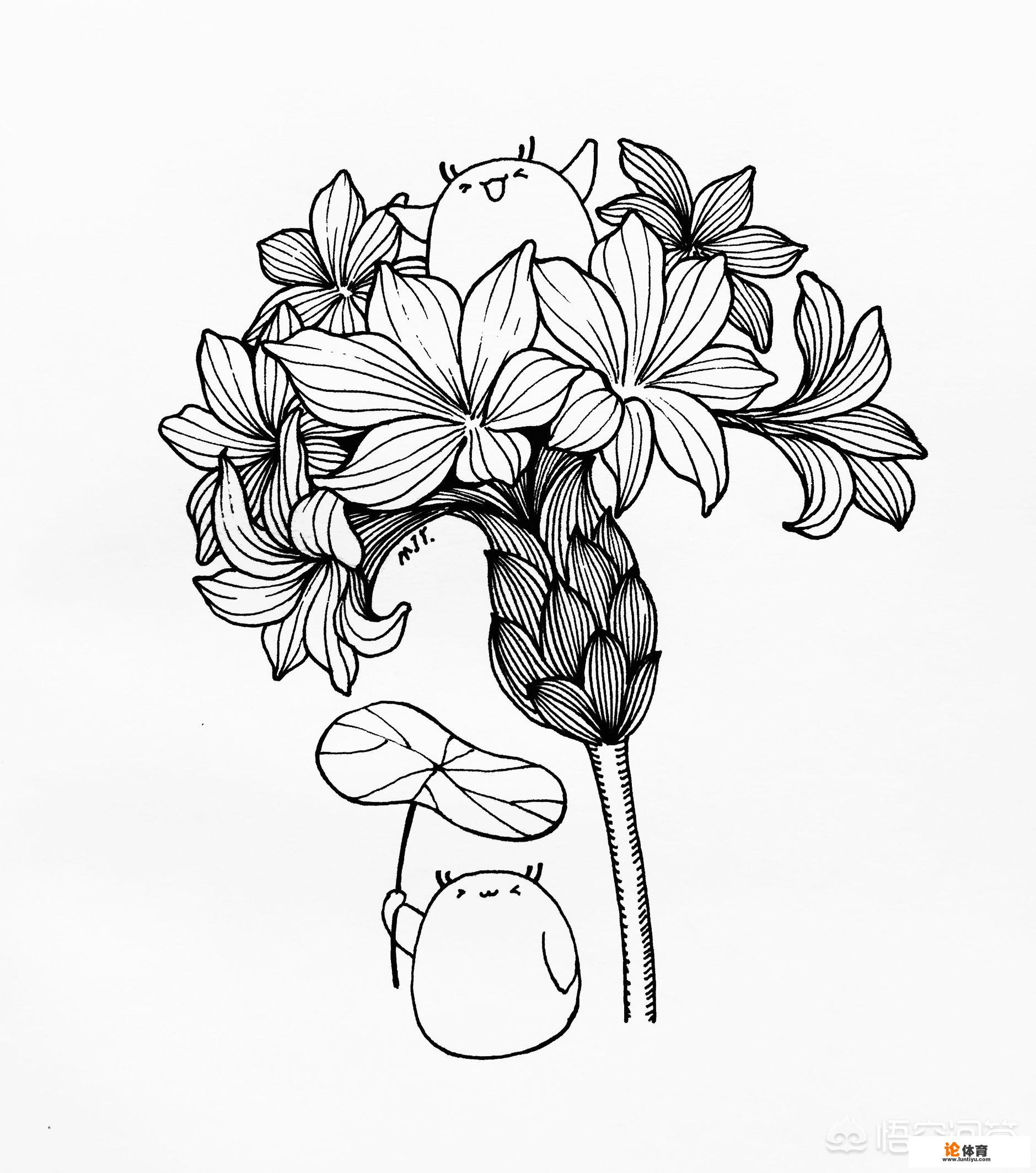 学画画怎样才能画好