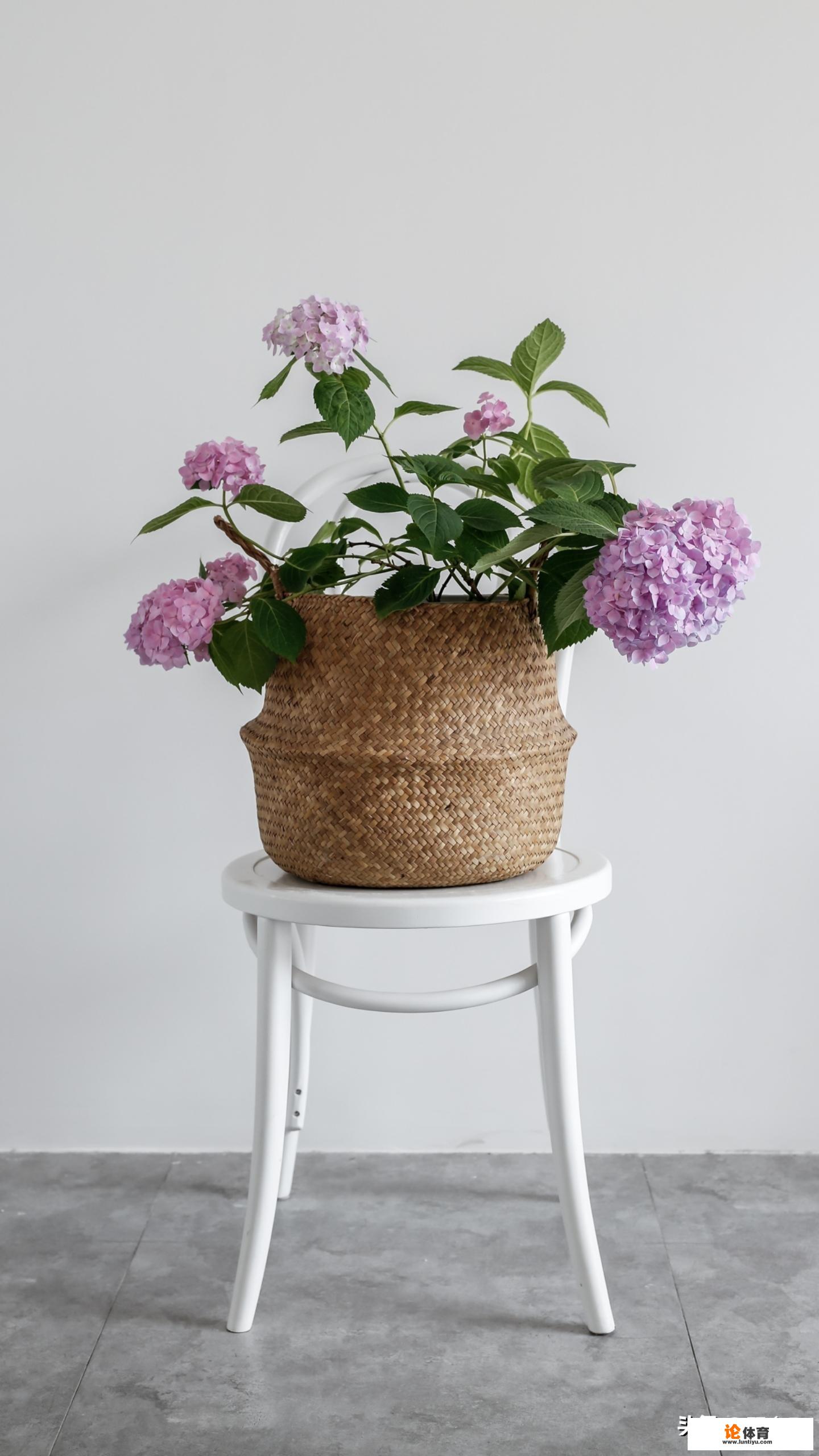 头条生活领域最近的热词有哪些 头条生活领域最近的热词有哪些