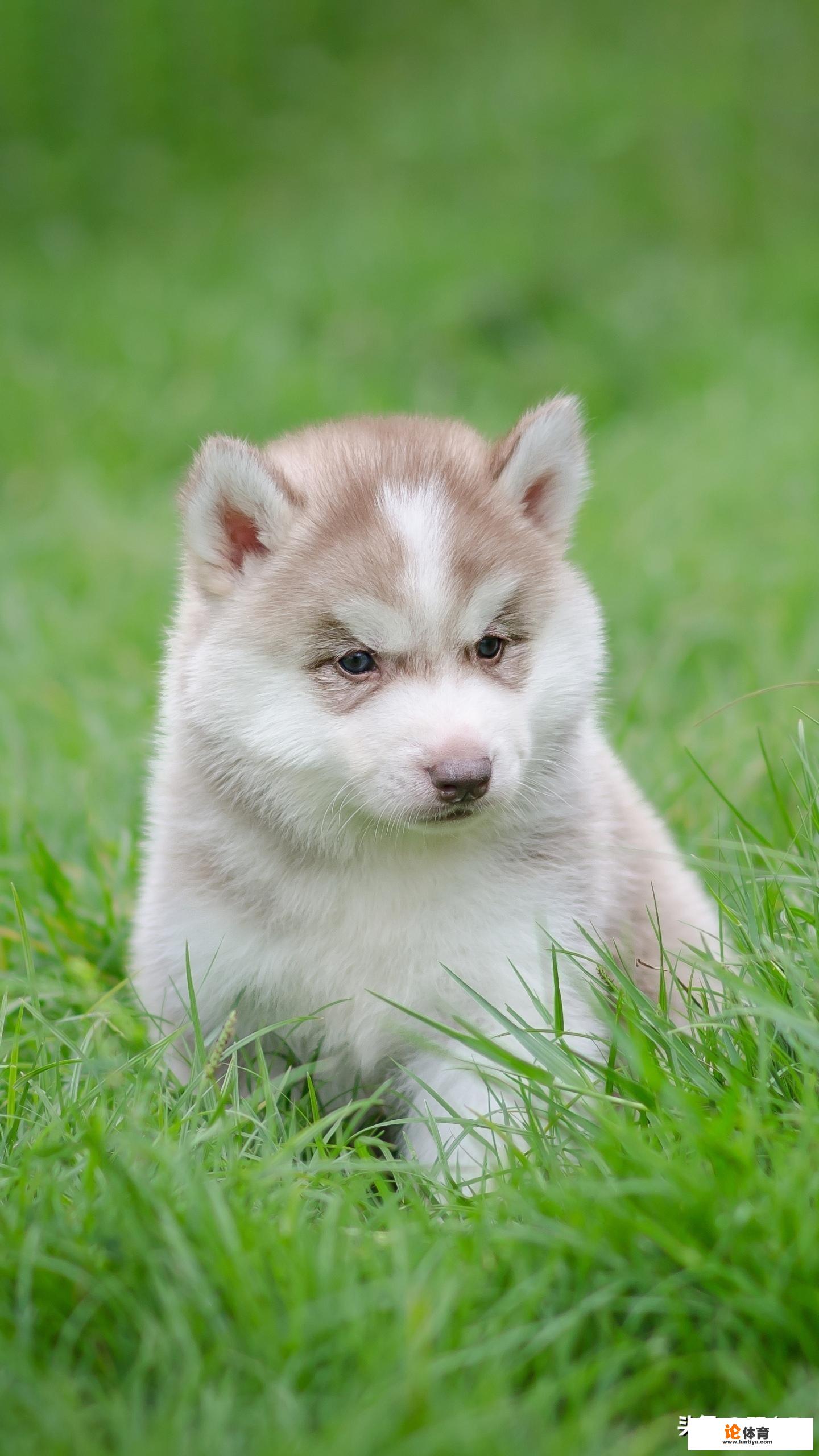 头条生活领域最近的热词有哪些 头条生活领域最近的热词有哪些