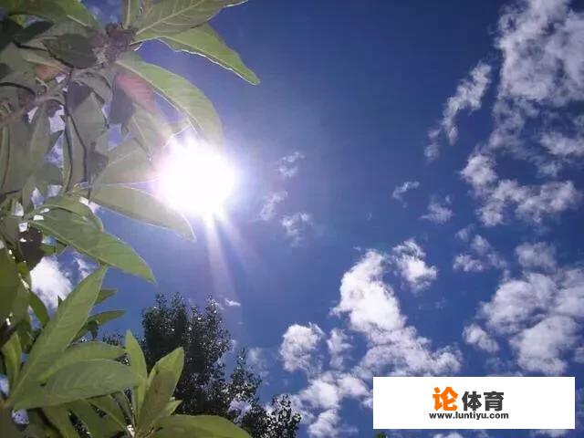 如果夏天新冠病毒不死，也没有疫苗研制成功，世界会怎样