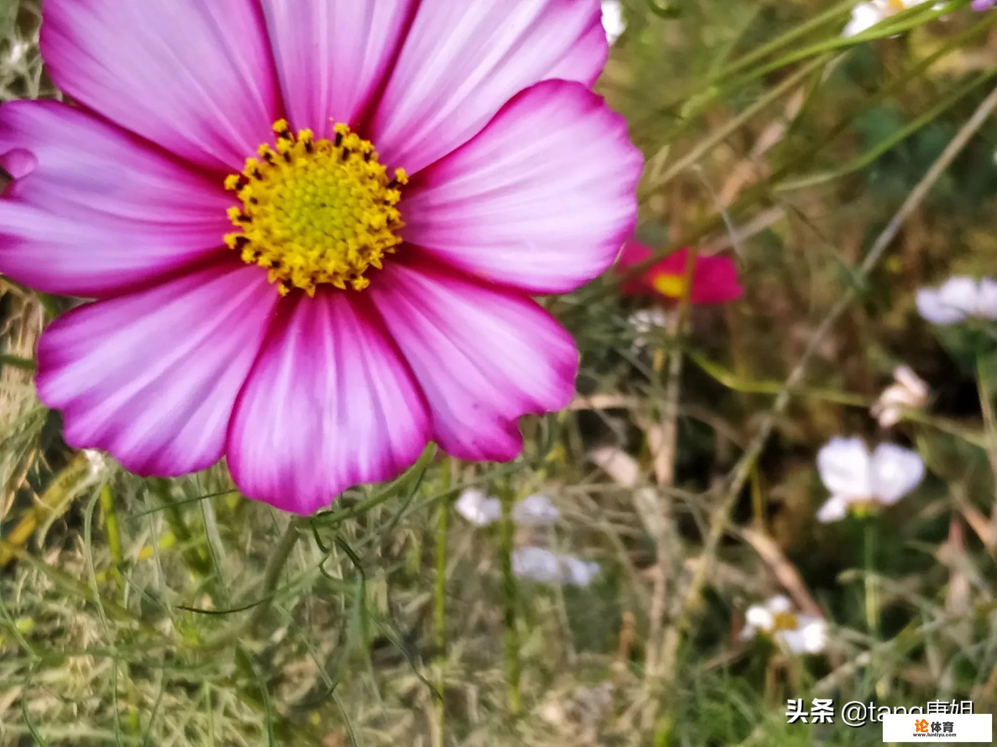 蓟县哪里游山玩水比较好，吃住不贵，经济实惠