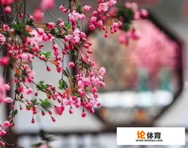 如何看待读完研已经27.28的女孩子 如何看待读完研已经27.28的女孩子