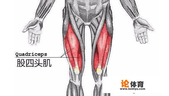 压腿的正确方法是什么?有哪些需要注意的问题?_游泳教练给运动员压腿 压腿的正确方法是什么?有哪些需要注意的问题?_游泳教练给运动员压腿