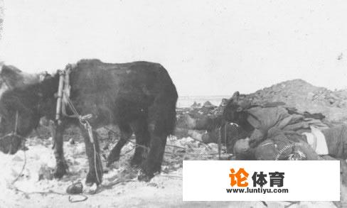 1910年鼠疫下的哈尔滨，是什么样的？_哈尔滨绝地求生比赛