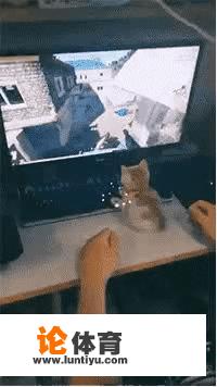 有搞笑的GIF动态图吗？_桌球比赛加油图片搞笑大全