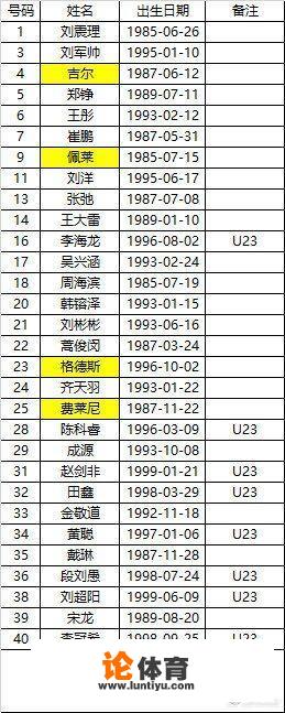 中超球队山东鲁能新赛季的球员名单、引援名单及离队球员名单？_各支中超球队的鲁能球员