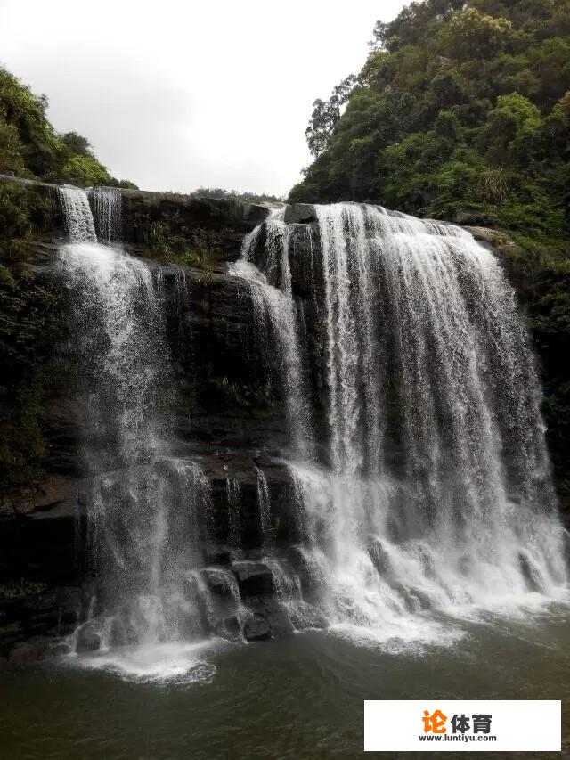 杭州亚运会开幕地面投影图案是哪几种花 杭州亚运会开幕地面投影图案是哪几种花