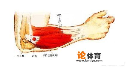 网球中的“非社会性失误”(还是非受贿性失误)是什么意思 网球中的“非社会性失误”(还是非受贿性失误)是什么意思