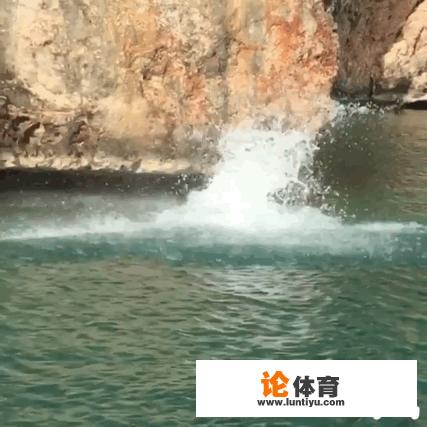 5米跳水冠军 5米跳水冠军