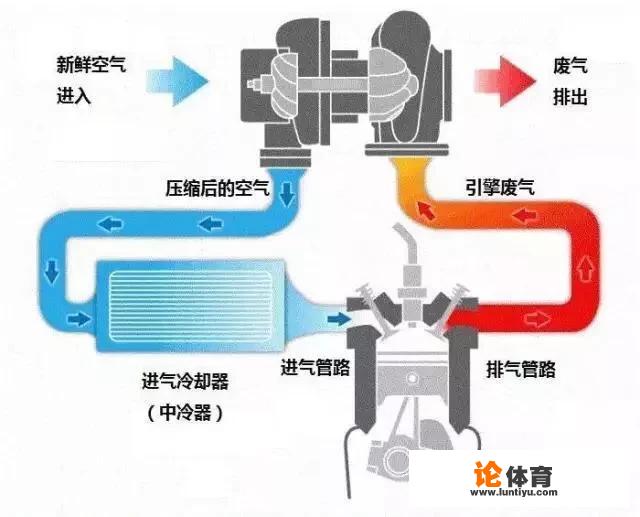 thp什么意思