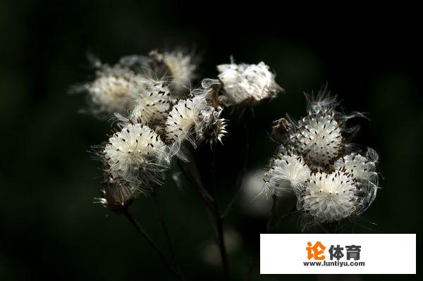 福建省荣耀战力哪个最低