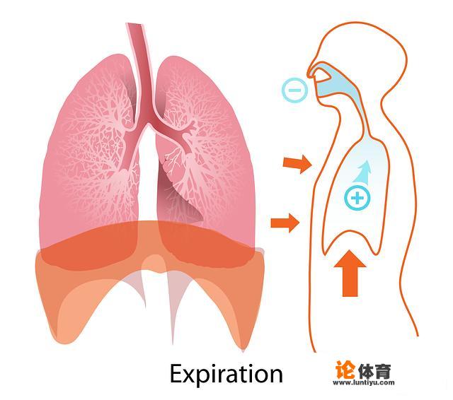 新冠病毒，症状有什么