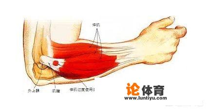 网球王子从全国大赛起他们的实力排名如何？（只限10个名额）