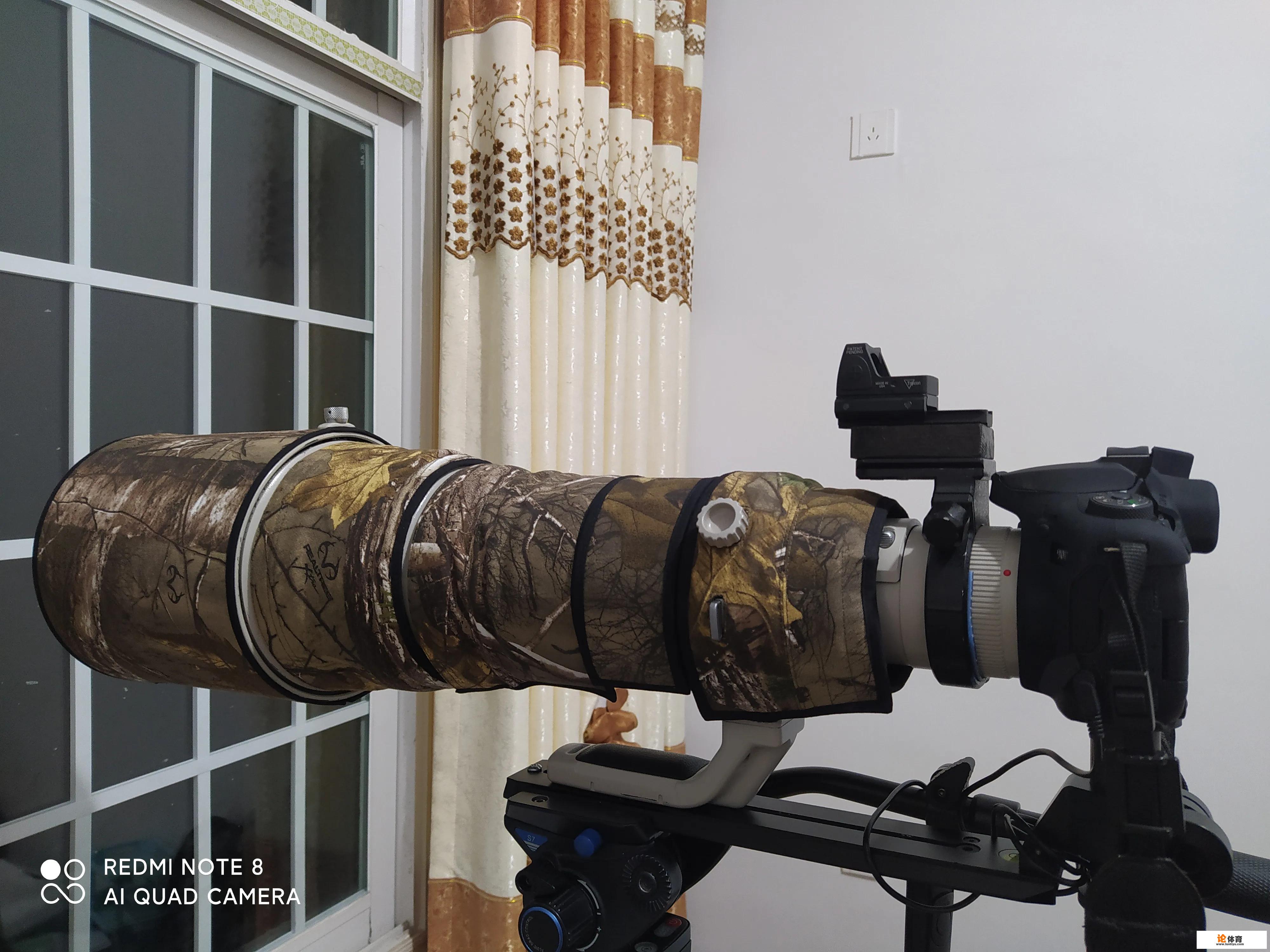 掌握飞禽抓拍技巧