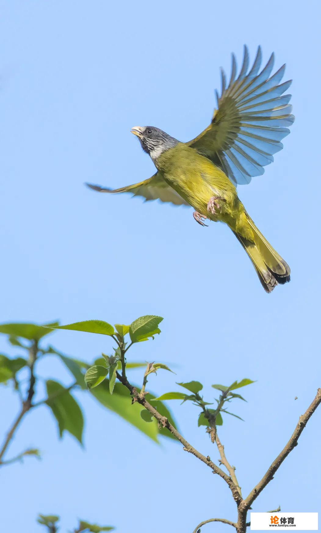 通过技术改进提高抓拍效果