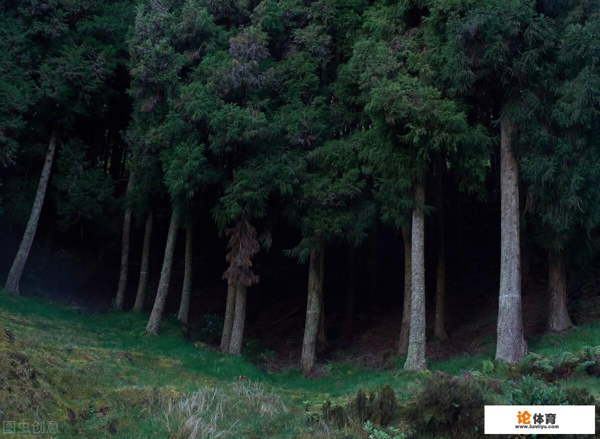 你都听过哪些离奇古怪的意外死亡事件