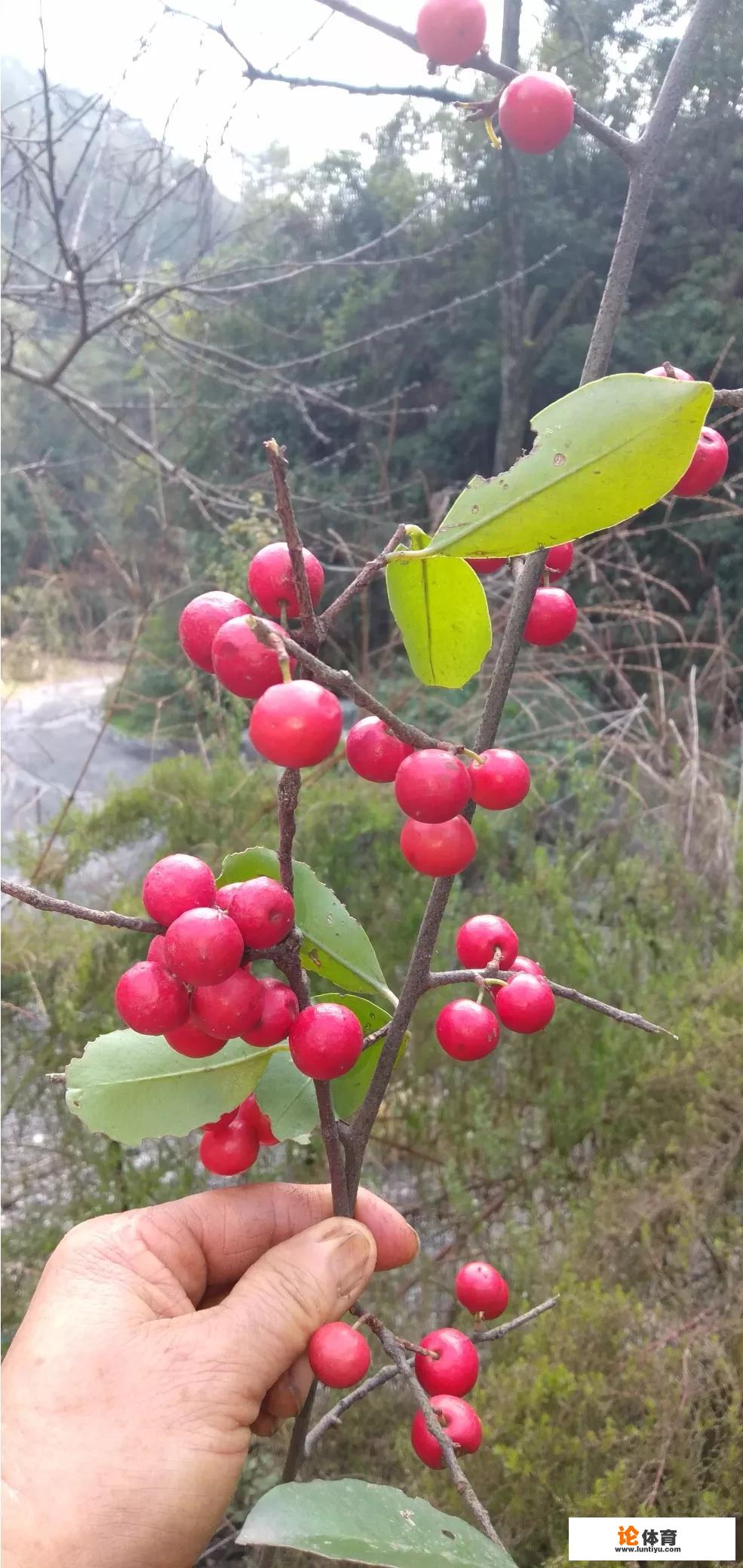 特殊时期，你们都待在家干什么呢