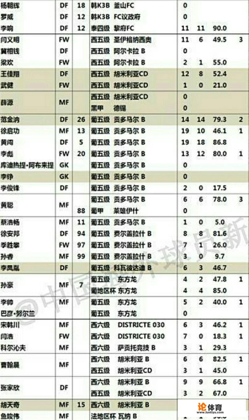 中国足球内的海外球员有135人，如果从这些球员中挑选24个人单独组队会是什么水平