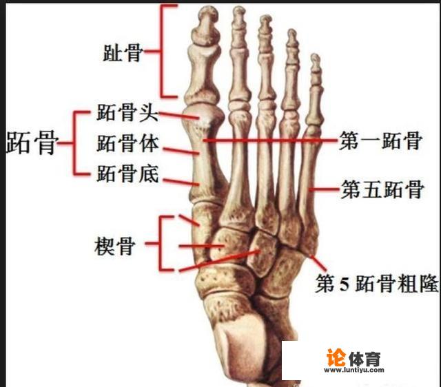 内马尔受伤了？他能赶上与皇马的欧冠吗