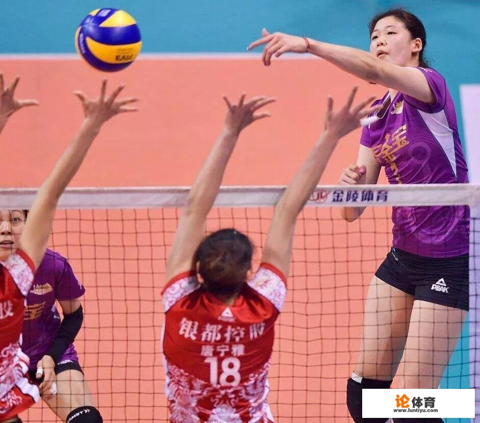 排球和篮球的区别是什么