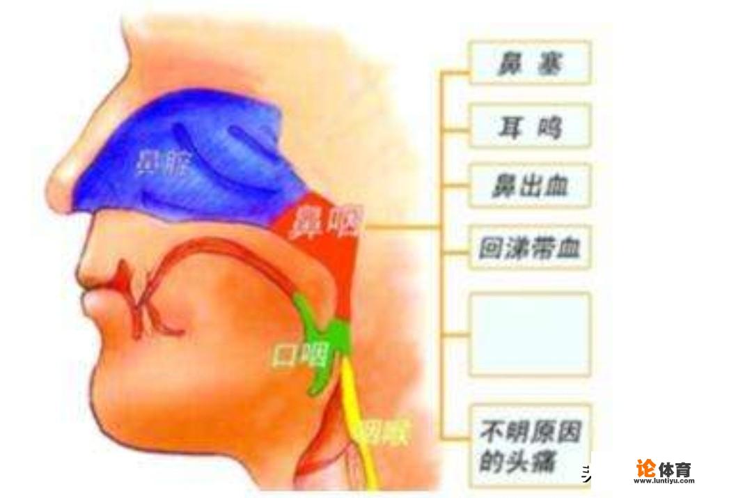 强姓当代名人