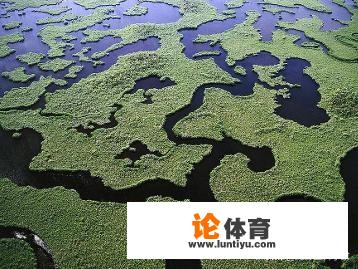 沼泽吃人是事实还是谣言 沼泽吃人是事实还是谣言