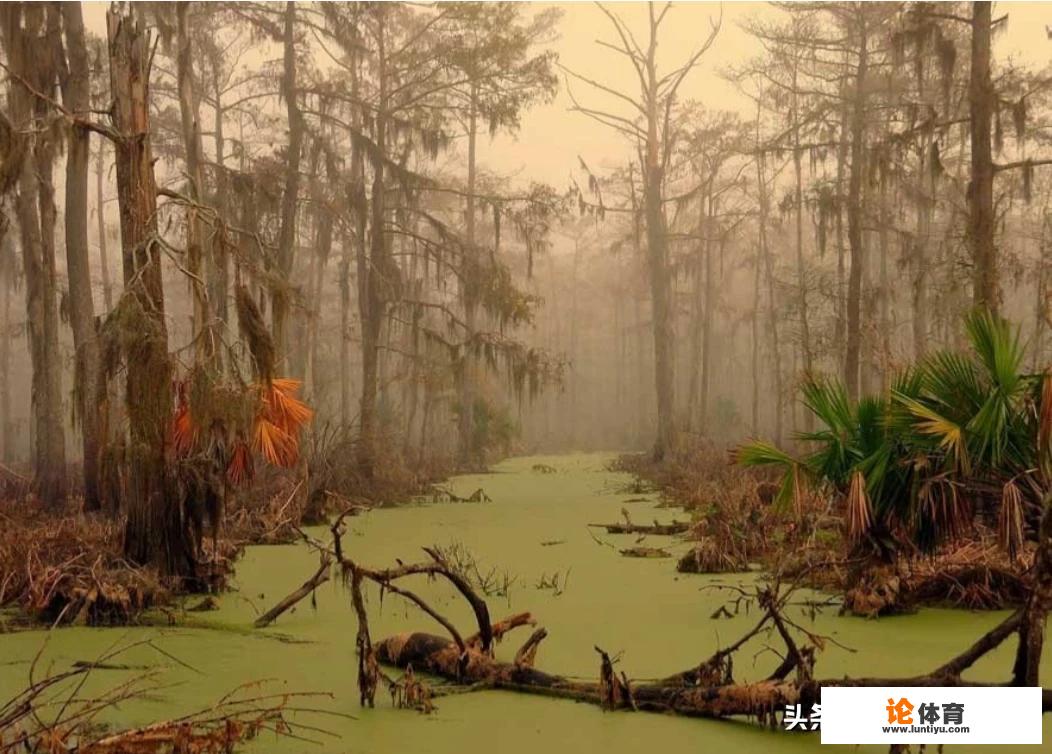 沼泽吃人是事实还是谣言 沼泽吃人是事实还是谣言