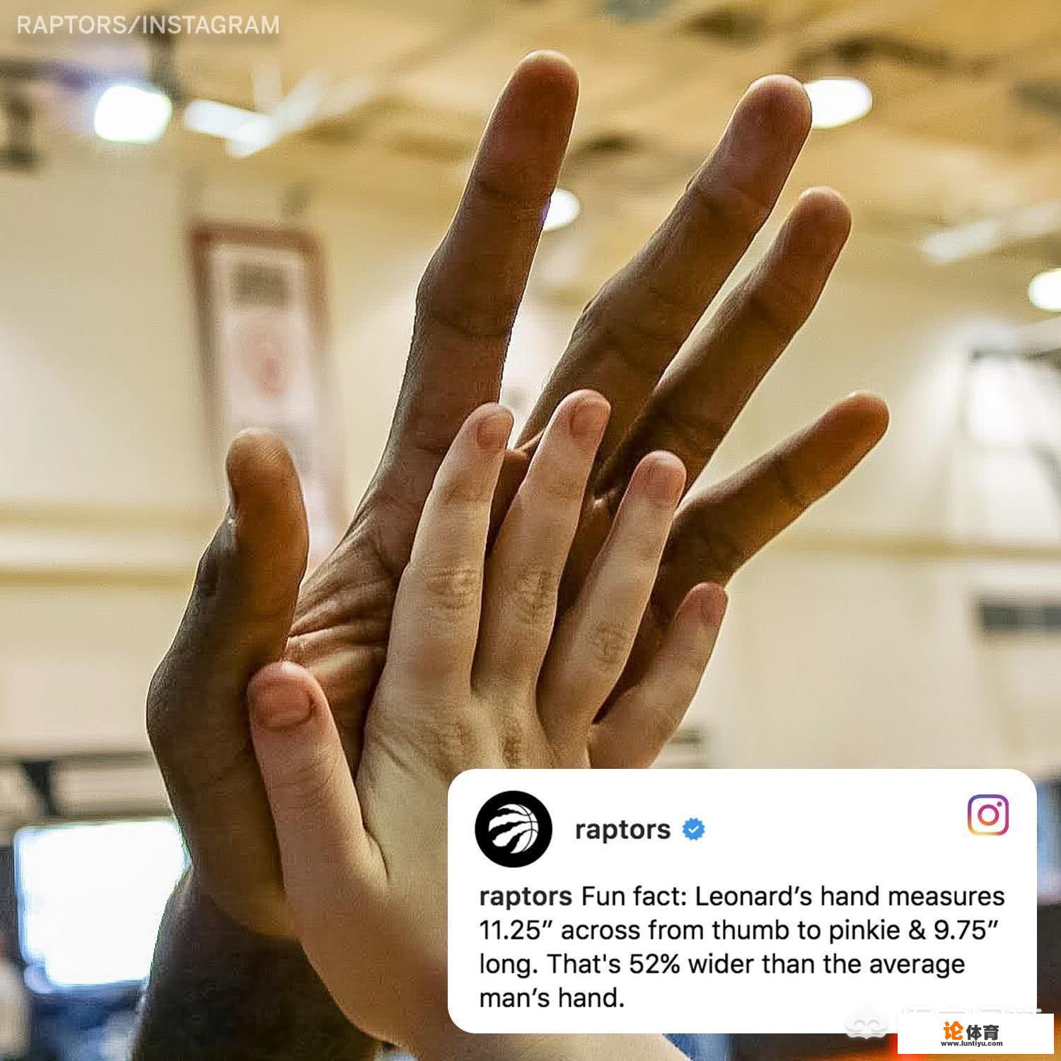 为什么打篮球手掌都很大